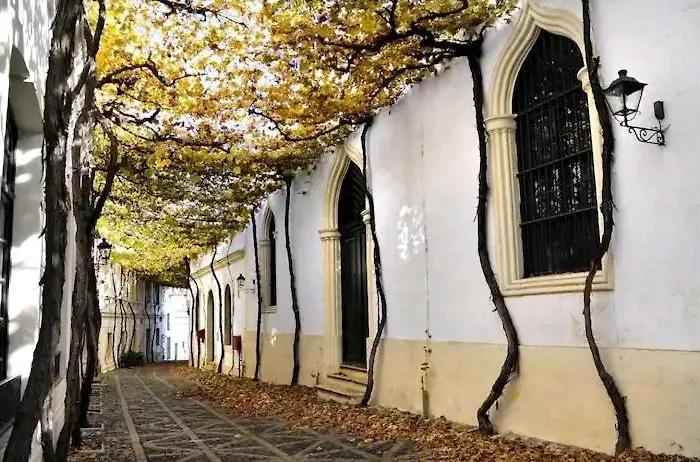 Casa En Jerez Con Patio Cerca De La Playa Y De La Sierra