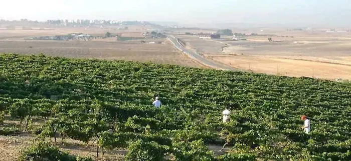 Holiday home Casa En Jerez Con Patio Cerca De La Playa Y De La Sierra Jerez de la Frontera
