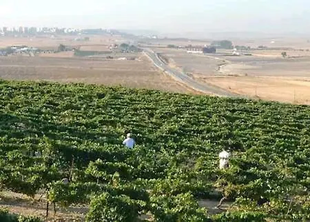 Tatil Evi Casa En Jerez Con Patio Cerca De La Playa Y De La Sierra Jerez de la Frontera